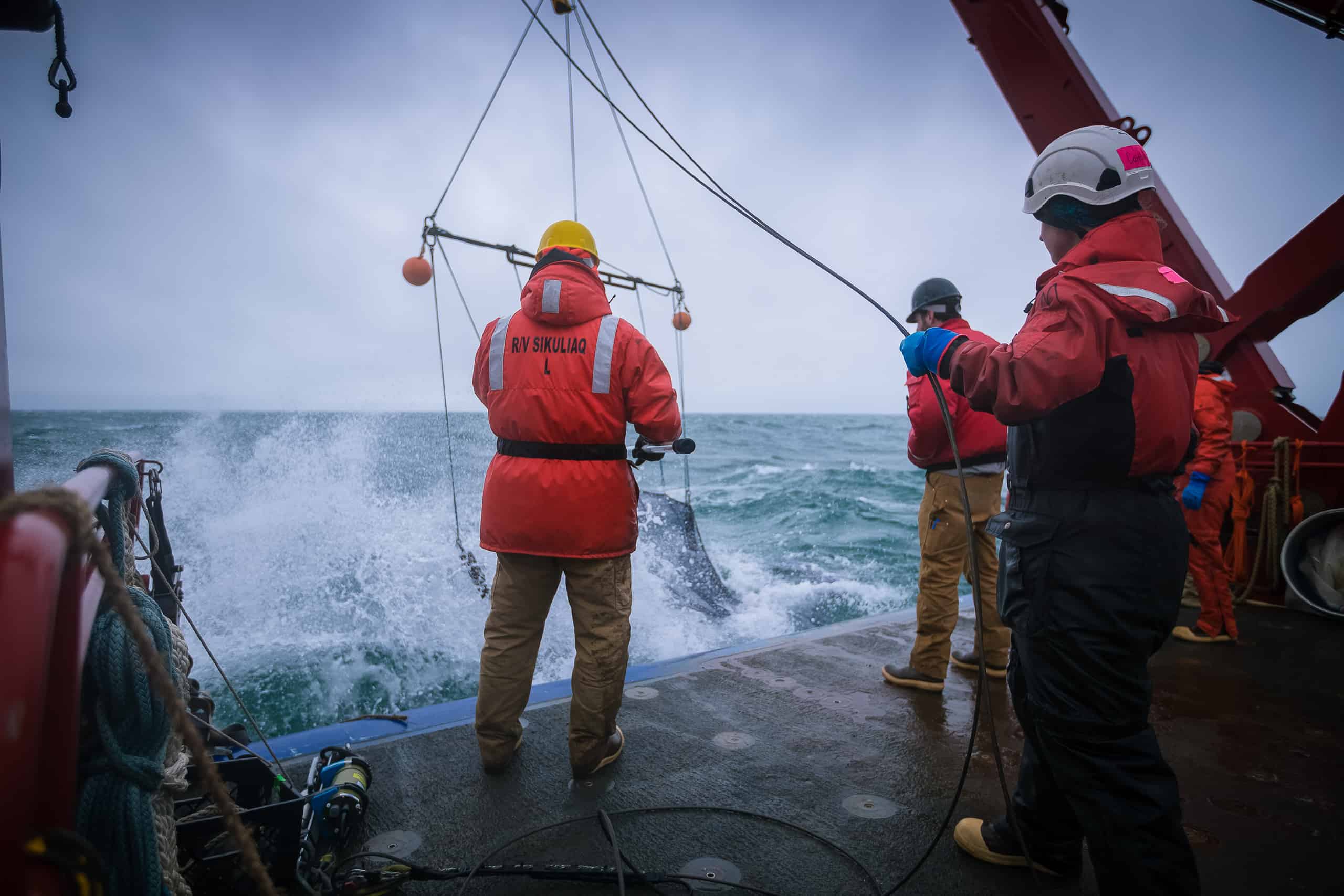 The Bering Sea Research Project | Deep Sea Research | NPRB