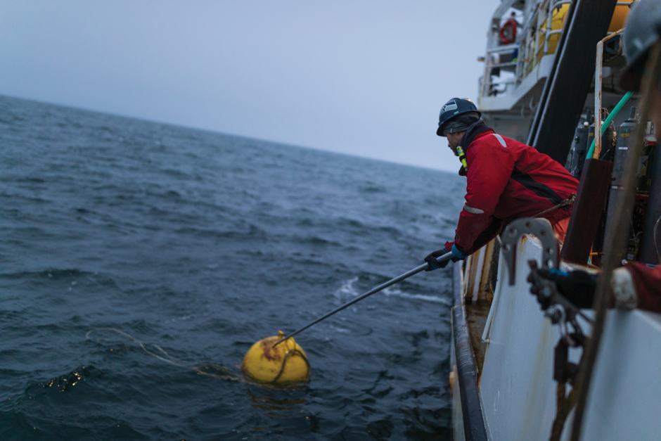 ocean researcher retrieving sample
