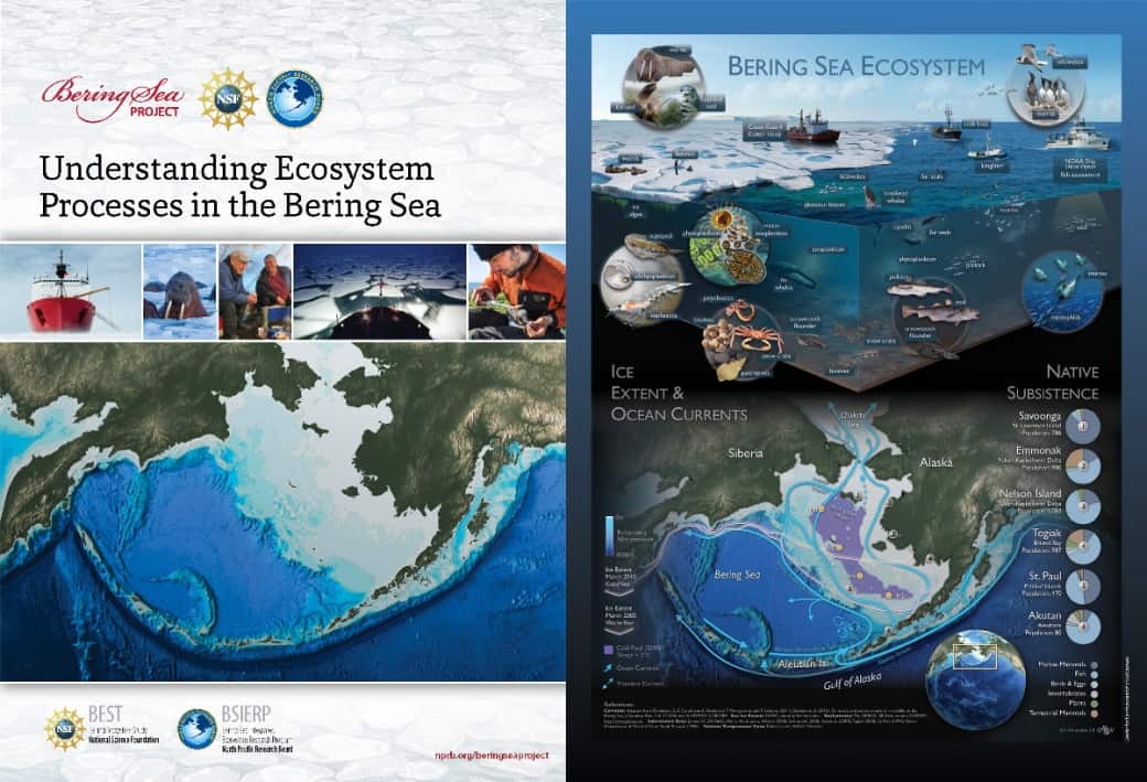 Bering Sea – NOAA Teacher at Sea Blog